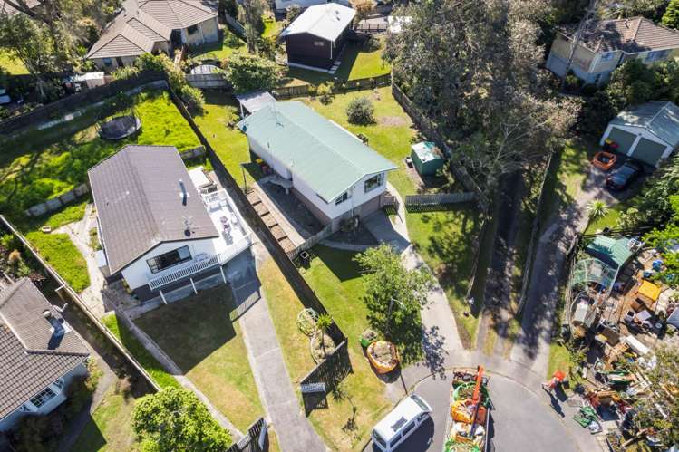 20 Pitcher Place Glen Eden_18