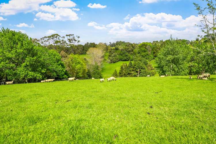 46 Wilson Road Warkworth_26