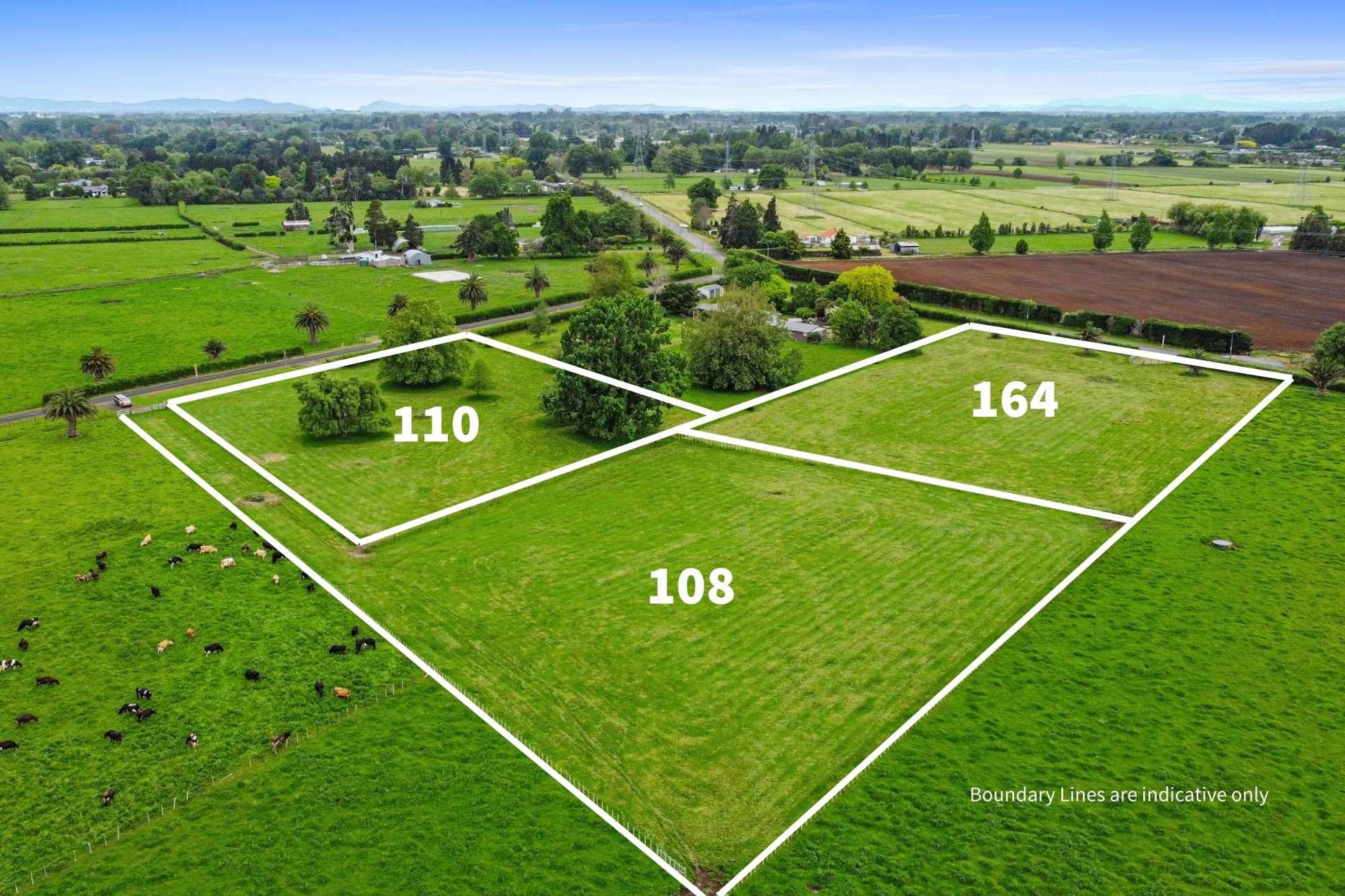 164 Lee Martin Road Tamahere_0