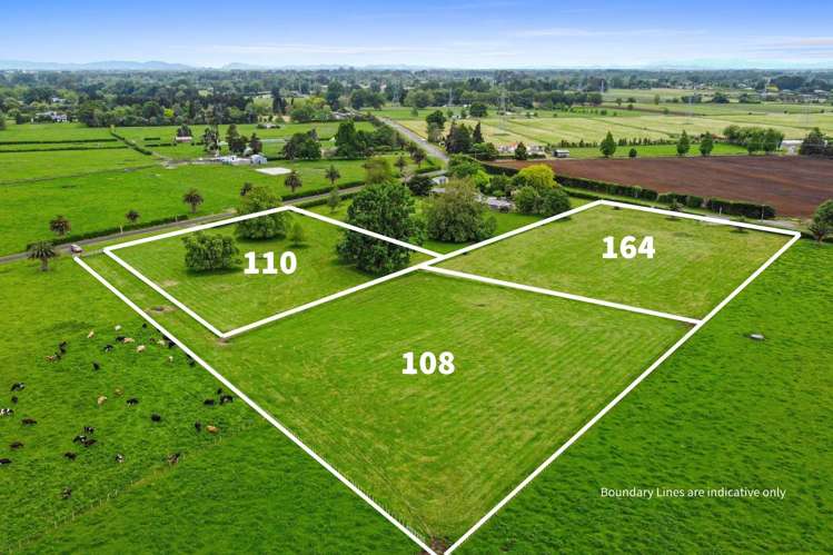 164 Lee Martin Road_0