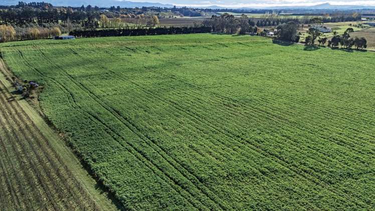 20 Dakins Road East Taratahi_6