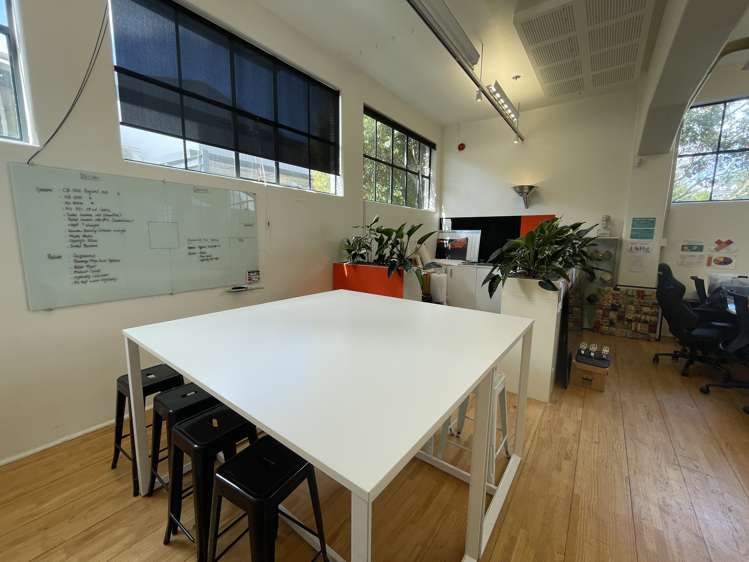 1 Cleveland Road Parnell_8