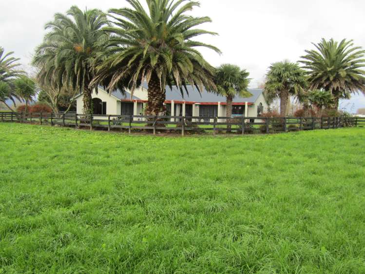 4272 State Highway 26 Waihou_2