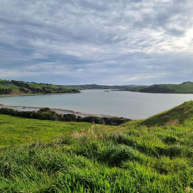 83 Hinamoki Drive Kaiwaka_13