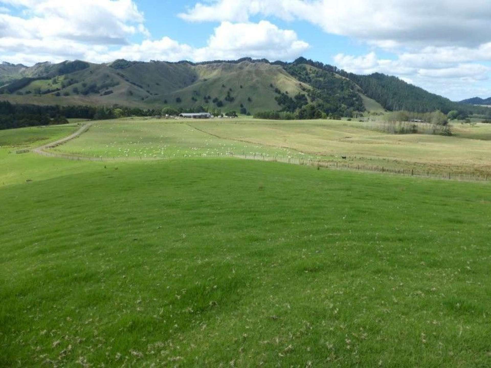 1577 Tangowahine Valley Road Dargaville Surrounds_0