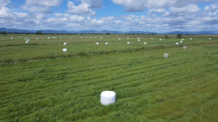 Pouarua Road Ngatea_3