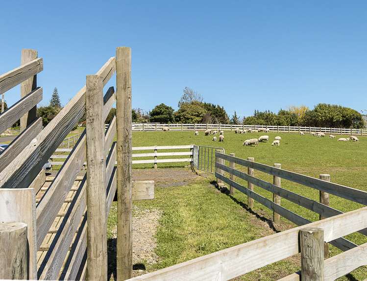 32 Hull Road Te Kohanga_1