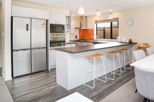 18B Roy Street Palmerston North_3