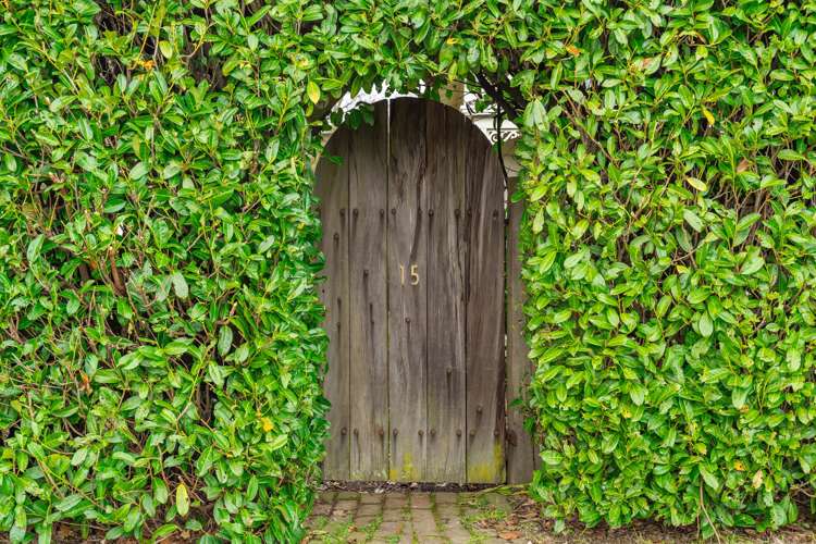 15 Kempton Street Greytown_21