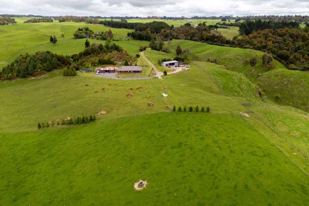 49C Olds Road Ngongotaha Valley_4