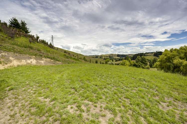 Lot Lot 2 Kopaki Bay Road Puketapu_5