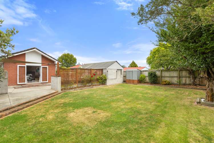 33 Wingate Street Redwood_13