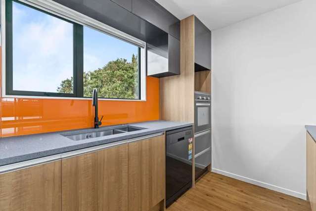 3/127 Stoddard Road Mount Roskill_3