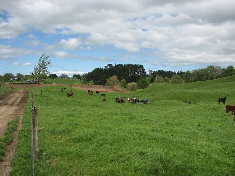 58 Scott Road Putaruru_6