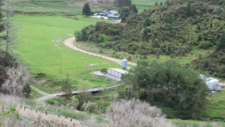 652 Piko Road Okoki_0