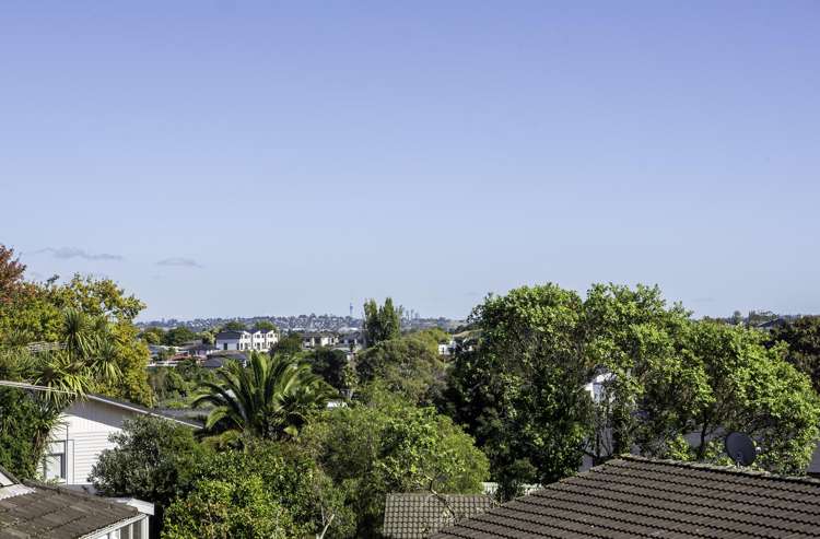 3 Jeff Place Howick_29