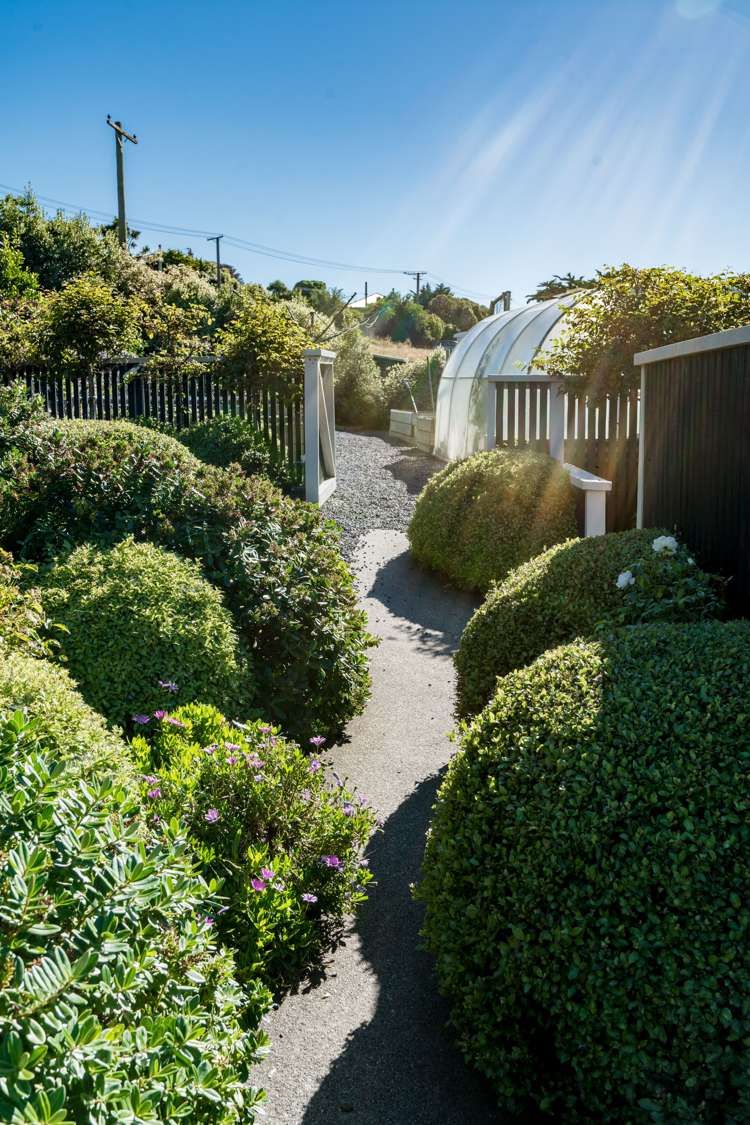 151 Tomahawk Road Andersons Bay_4