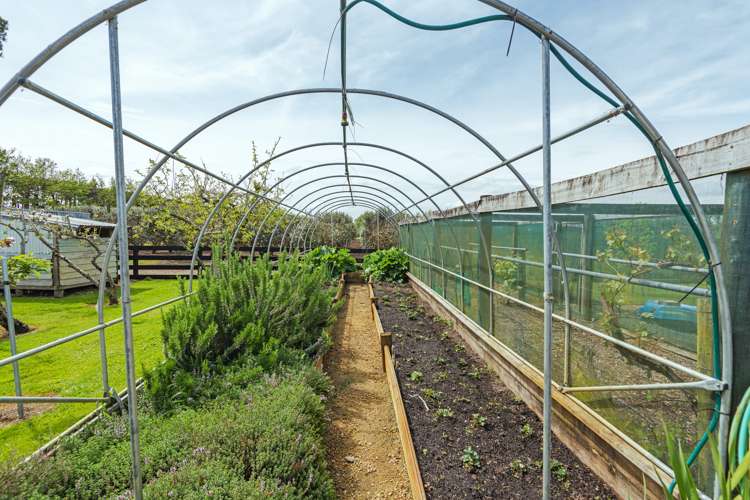 961 Lockwood Road Kairanga_21