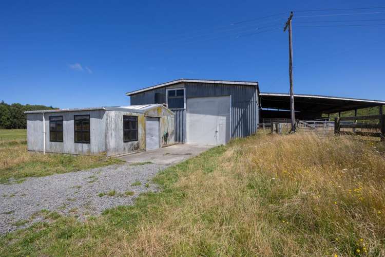 590 Brandon Hall Road Bulls_20