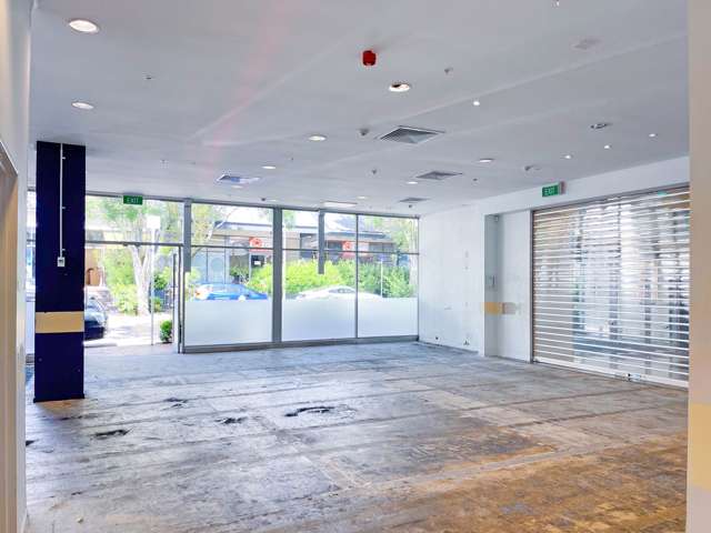 Aylesbury Street Pakuranga_4