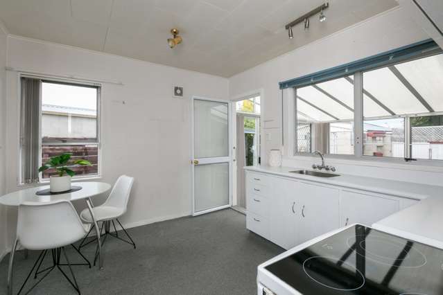 15 Plunket Street Tamatea_3