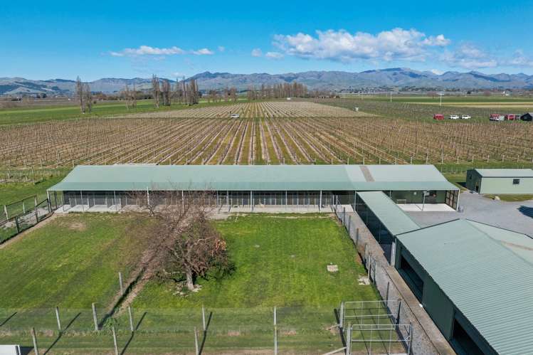 519 Old Renwick Road Springlands_6