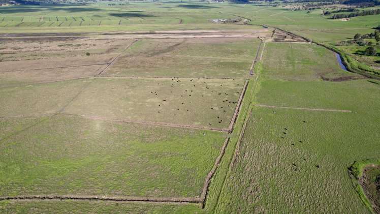 224 Rushbrook Road Ruatangata_6