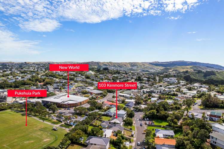 103 Kenmore Street Newlands_32