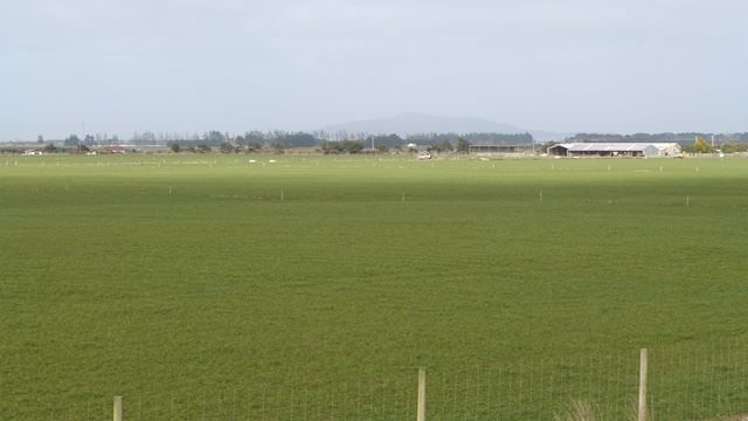 45 Tiwai Road Woodend_11