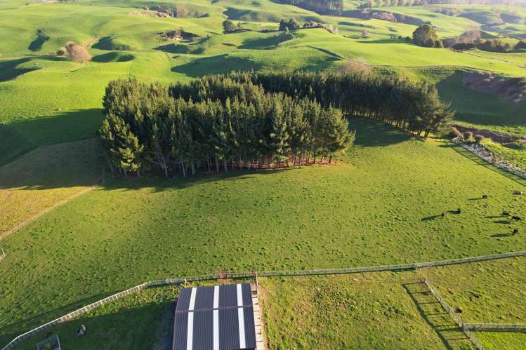 11C Jones Road Putaruru_7