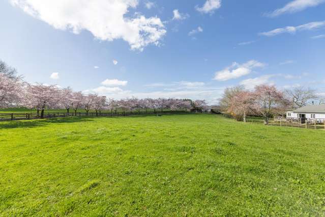 84 Overdale Road Putaruru_2