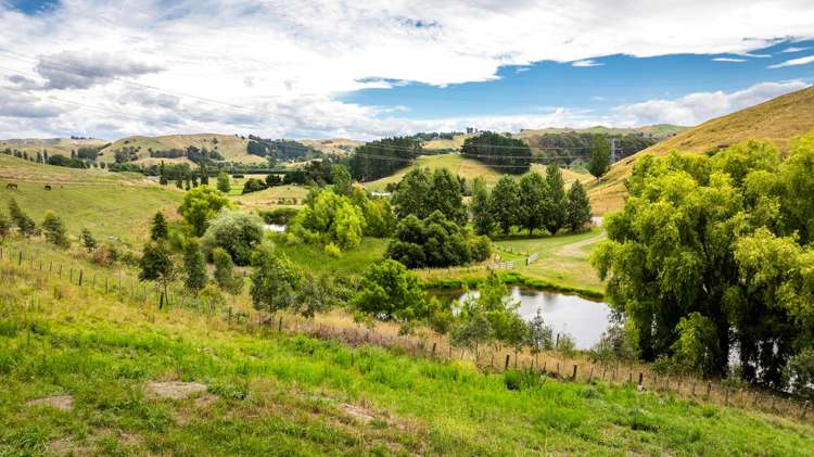 Lot Lot 2 Kopaki Bay Road Puketapu_6