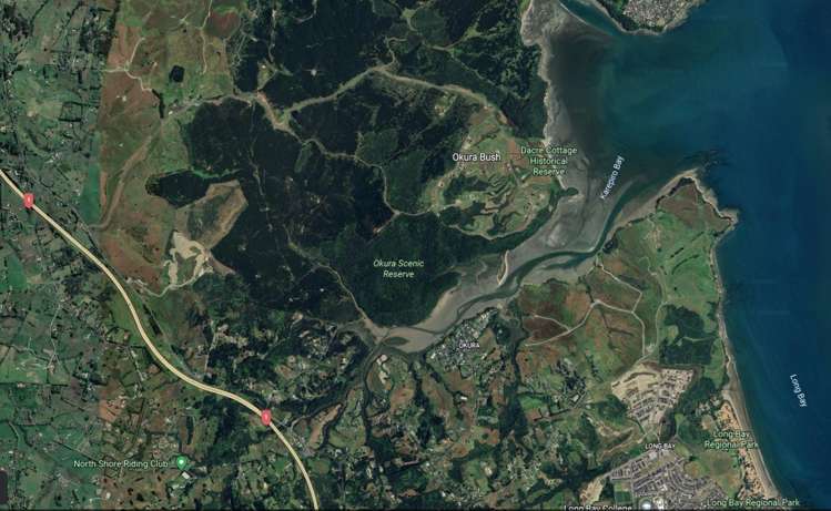 5 Hurihuri Road Okura Bush_20