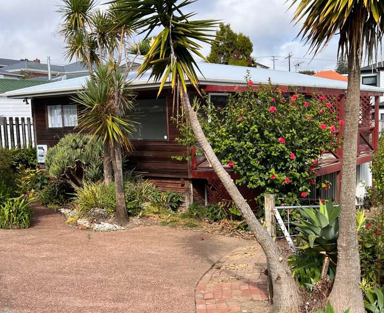 Subritzky Avenue Mt Roskill_9