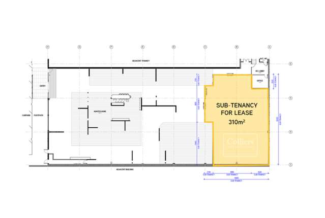 3 Link Drive Wairau Valley_2