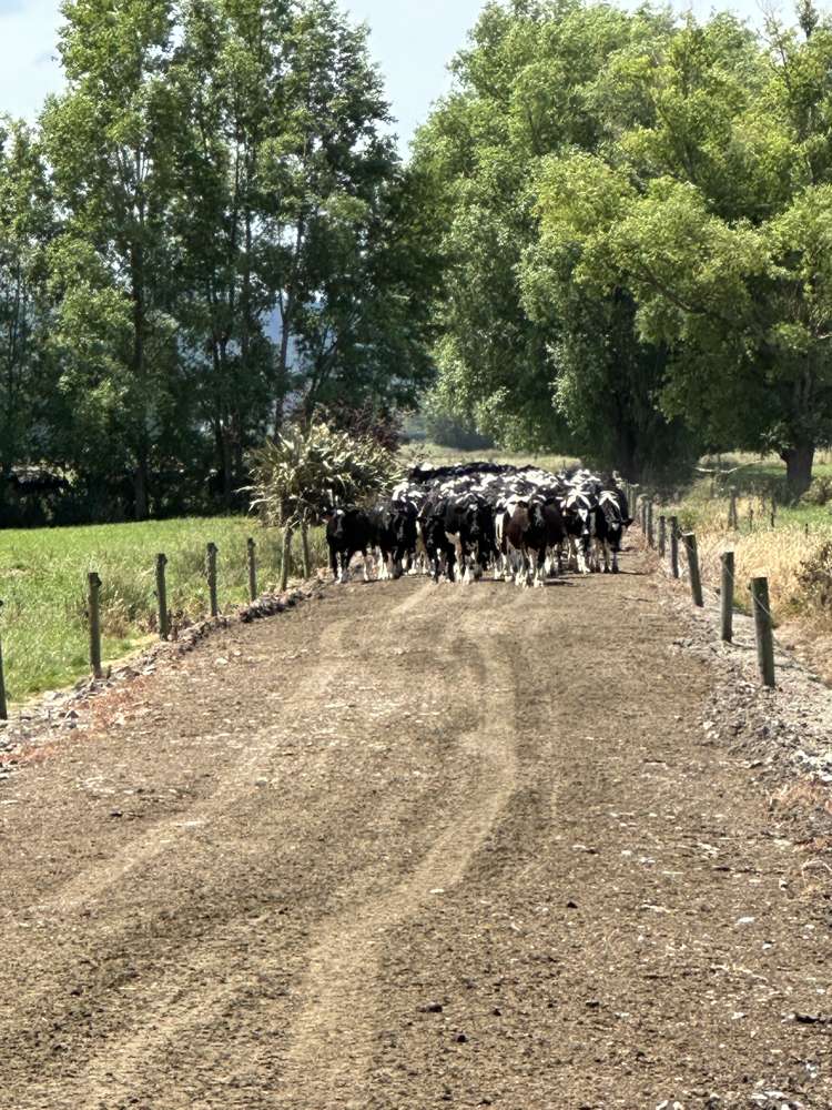 236 Telegraph Road Inch Clutha_1