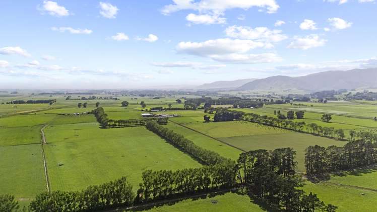 129-139 Tamatarau Road Tokomaru_2