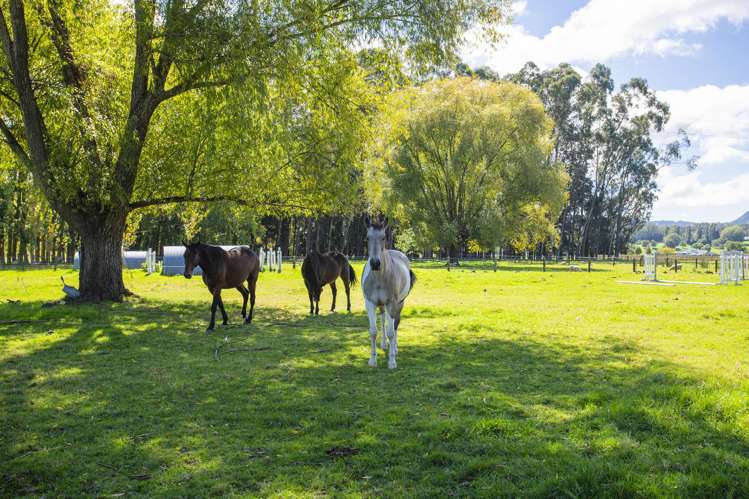 140 Hansen Road Makauri_8