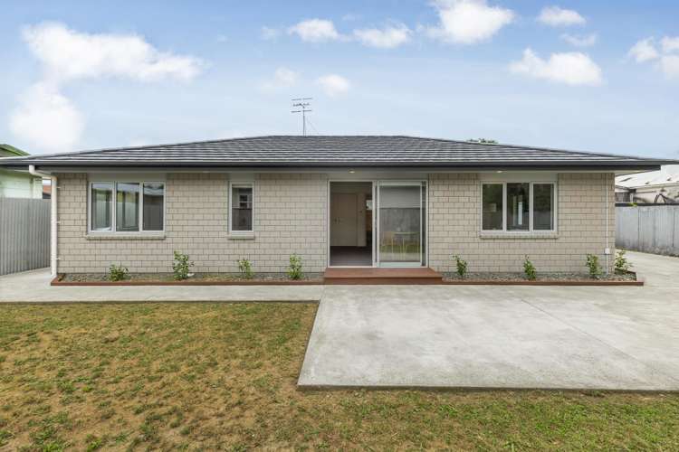 12A Guy Avenue Levin_15
