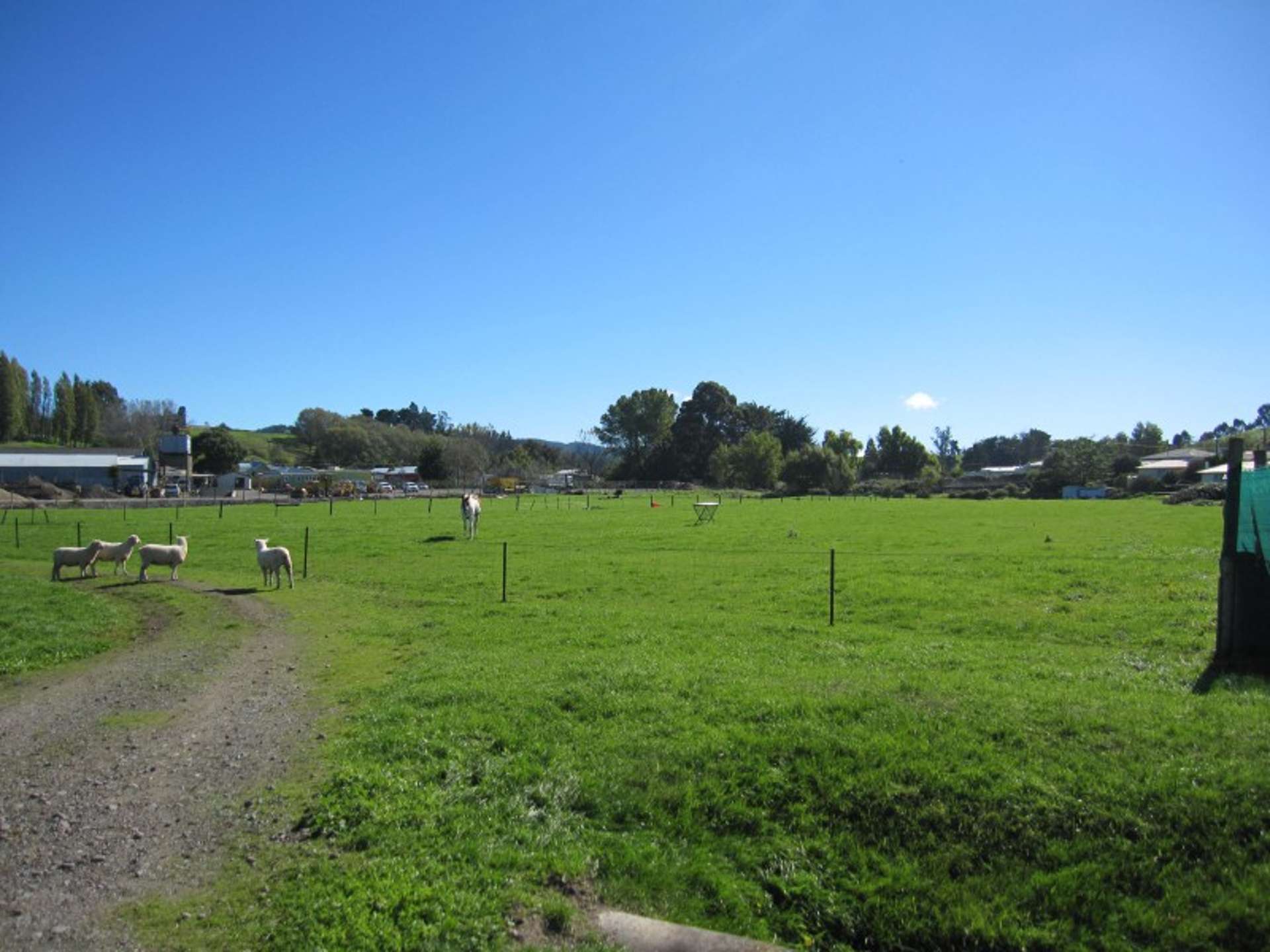 17a Mcgreevy Street Waipawa_0