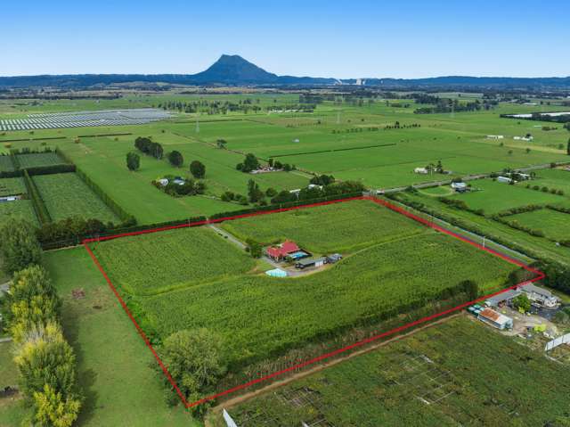 164 Otakiri Road Edgecumbe_3