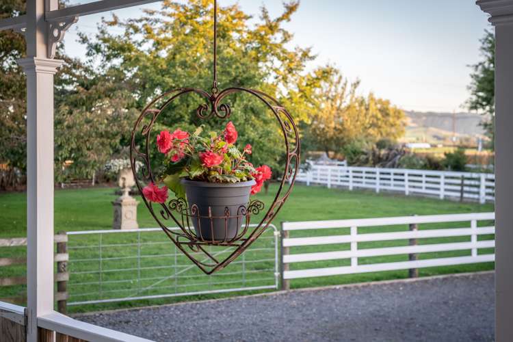 772 Roto O Rangi Road Rotoorangi_20