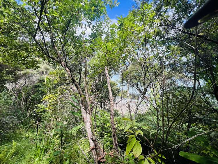 1695 Wyuna Bay Road Wyuna Bay_38