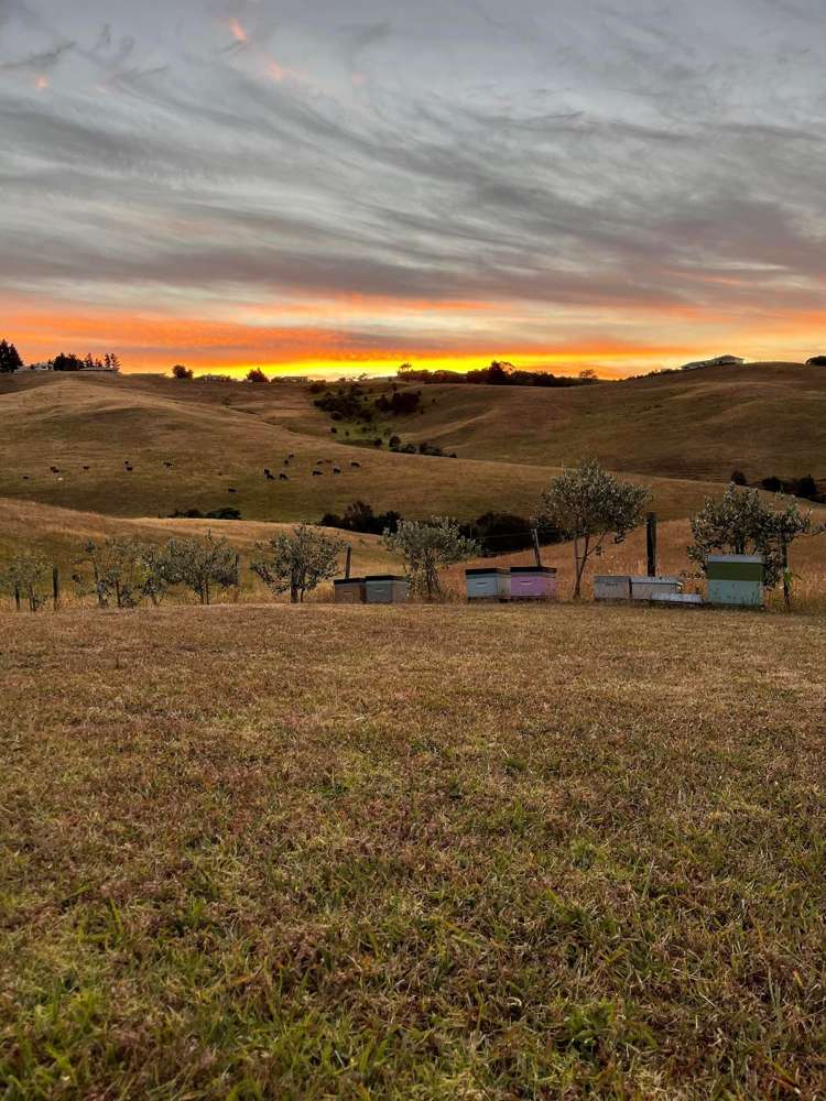 211c Cable Bay Block Road Cable Bay_19