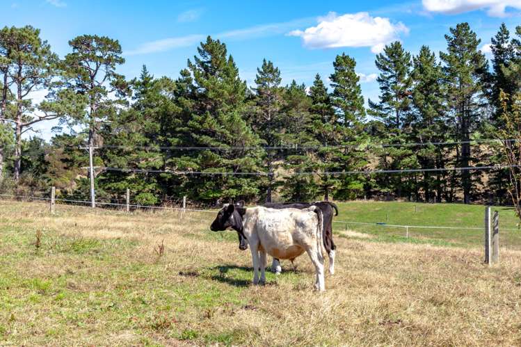 1156 Old Te Aroha Road Okauia_8