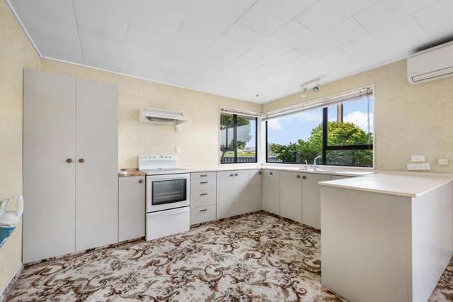 115 Broughton Street Gore_3