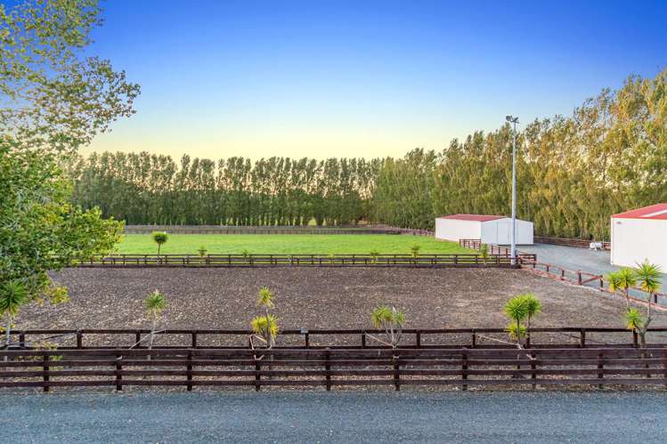 55 Postman Road Dairy Flat_14