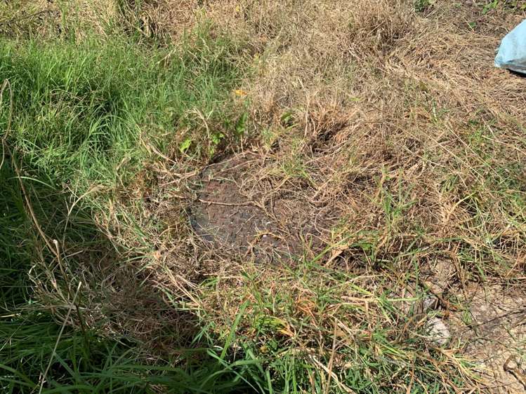 74b Awaroa Road Sunnyvale_1