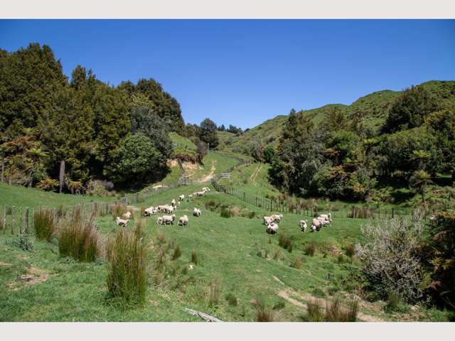 314 Kawautahi Road Owhango_4