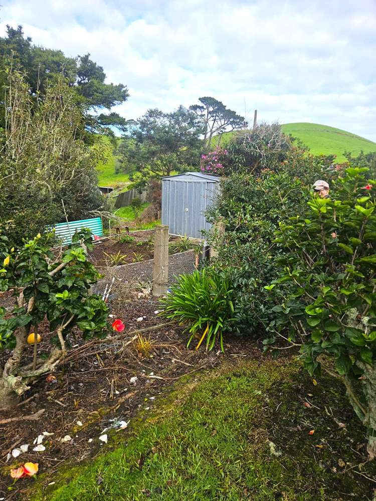 2299 State Highway 1 Waiharara_6